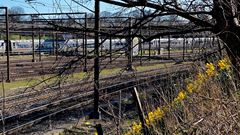 Blomster langs jernbanen