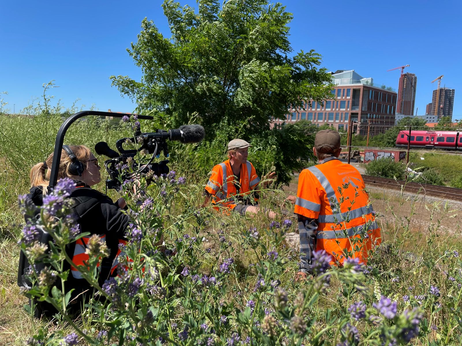 Frank Erichsen og Sebastian Klint Grønbæk under optagelser på Giv os naturen tilbage