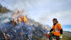 Naturpleje ved afbrænding