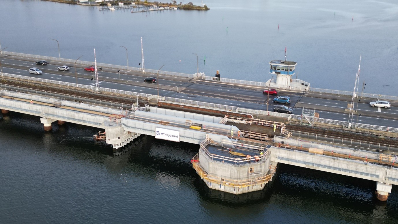 Den nye Kong Frederik IX's bro